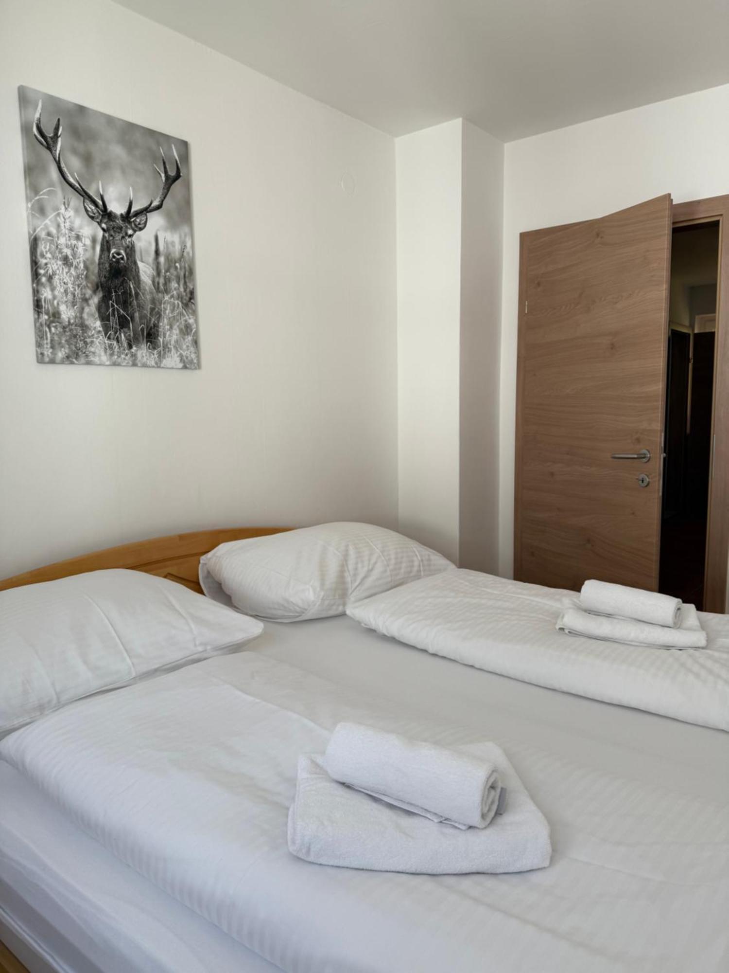 Appartement Berger เซลล์อัมเซ ภายนอก รูปภาพ